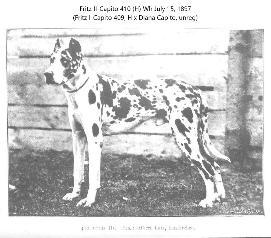 Fritz II